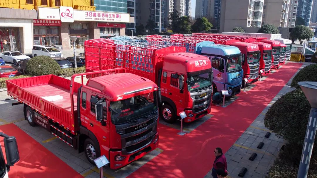 Z6��������ʱ(�й���)�������ǲ�!